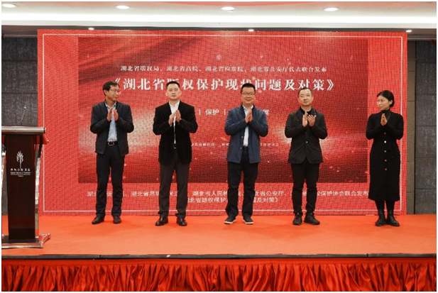 湖北省版权保护现状、问题及对策报告发布