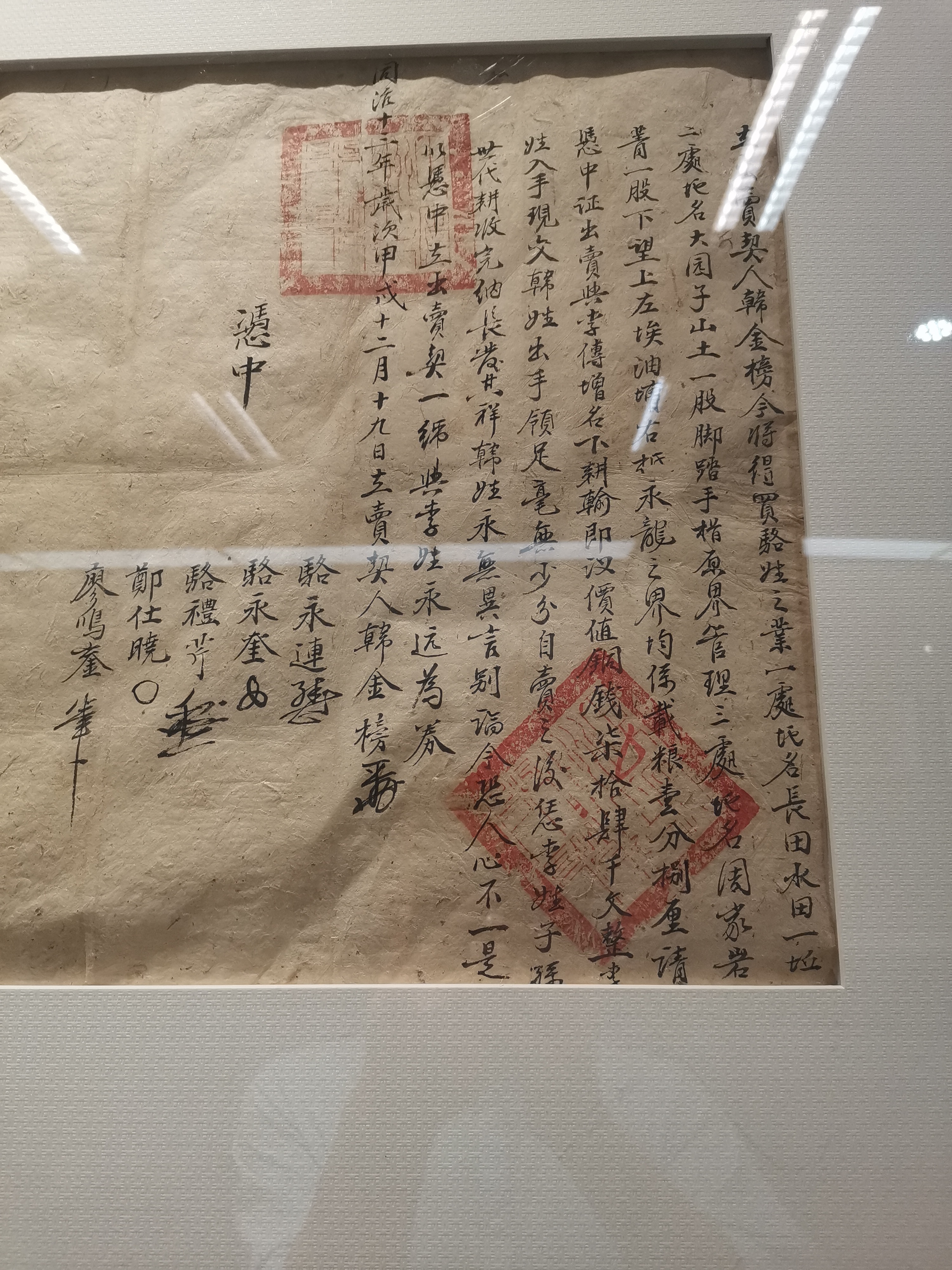 走进湖北省图书馆跨越“家谱探秘”千年之旅