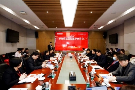 影视版权如何实现共治格局?专家联动献策