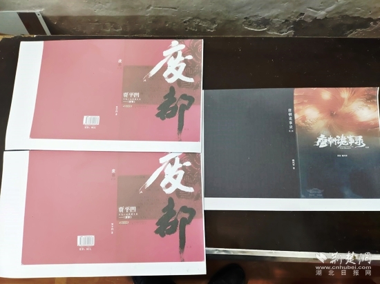 涉案金额51万，嘉鱼公安破获一起侵犯著作权案