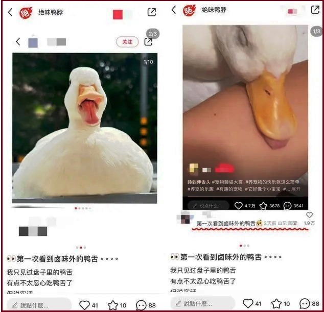 绝味鸭脖擅用宠物鸭照片宣传鸭舌 律师:侵权