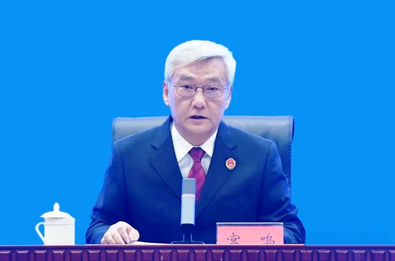 最高检副检察长宫鸣:依法加大对各类侵犯知识产权犯罪惩治力度