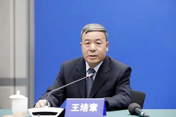 加快推进人工智能大模型在审查工作中的应用