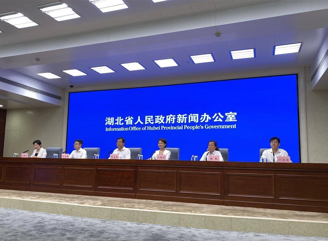 今年底湖北数据汇聚总量力争突破1000亿条