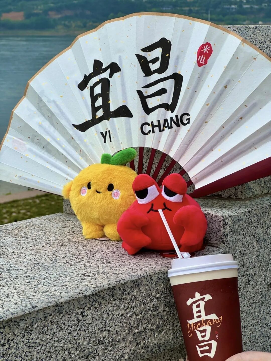 来都来了，别忘了带点“特产”回家