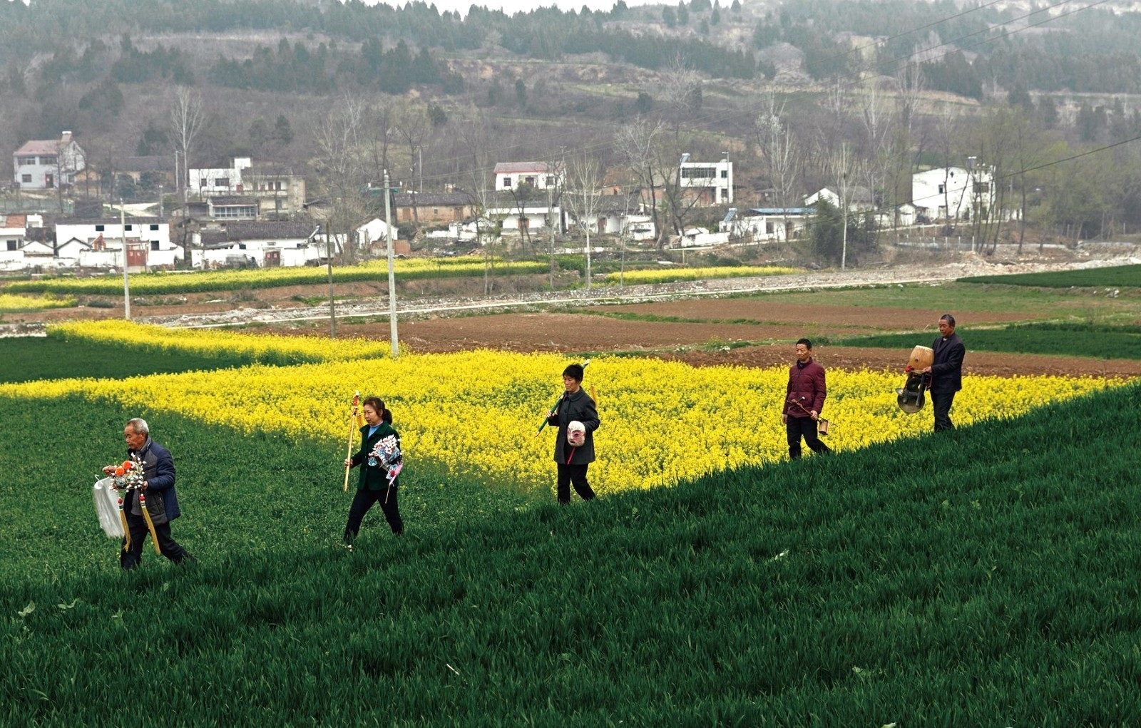 刘光华版权摄影作品展示