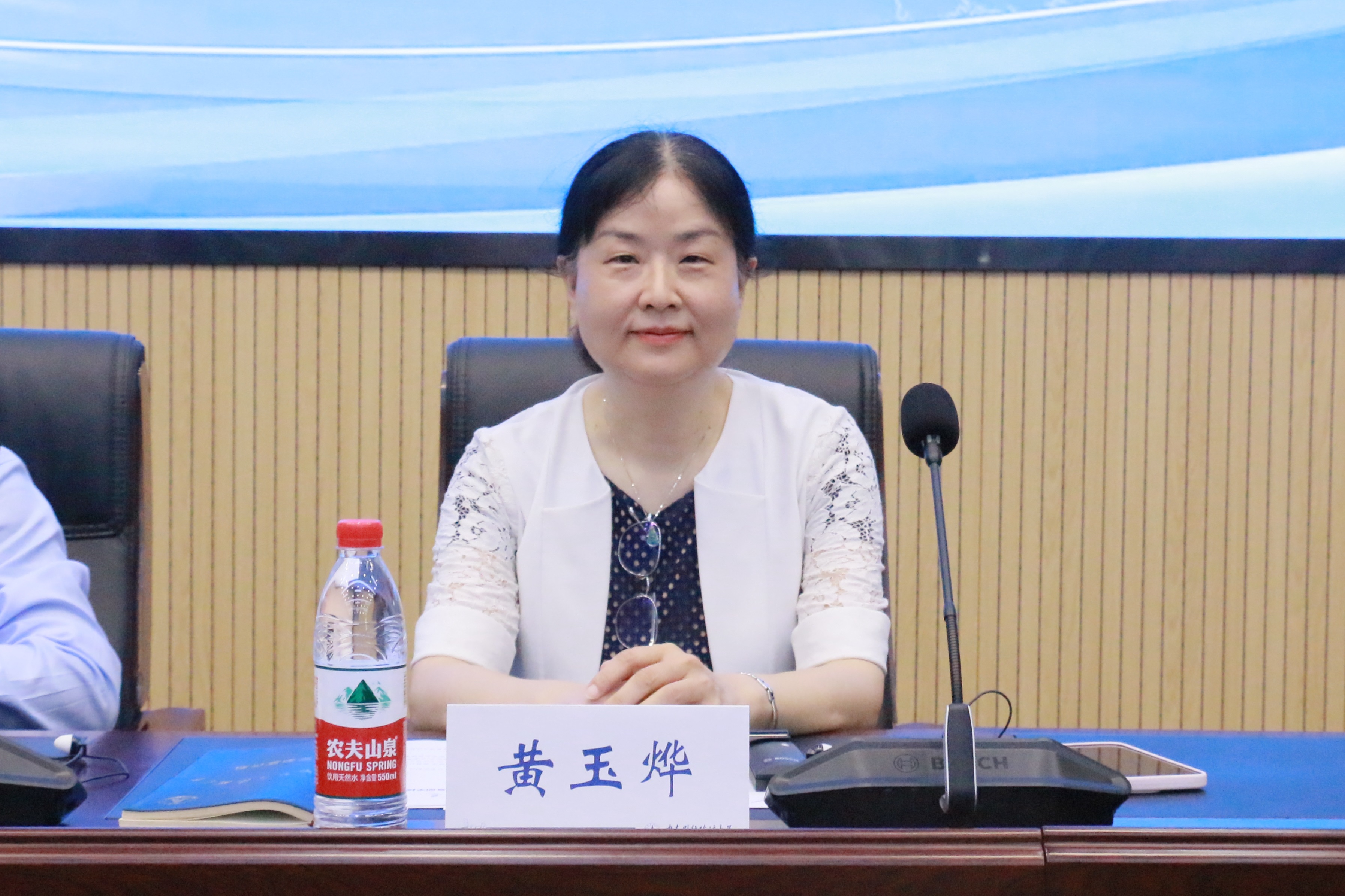 黄玉烨:合理确定赔偿额是影视版权保护核心问题