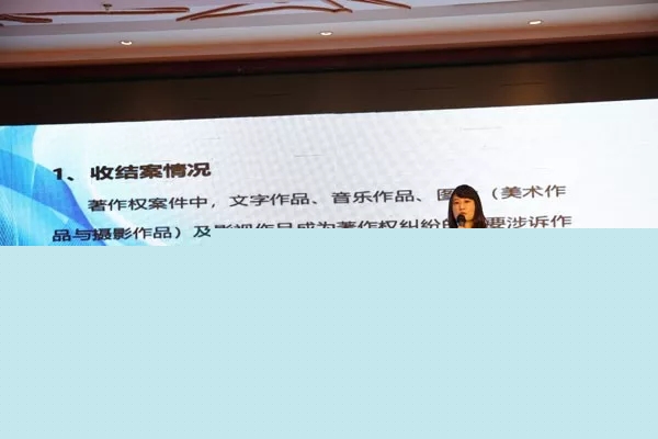 北京海淀法院知识产权庭法官王栖鸾做主题发言